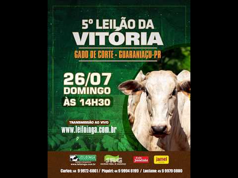 5º LEILÃO DA VITÓRIA  -  GADO DE CORTE -  GUARANIAÇU-PR