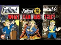 Meta: The Fans of Fallout!