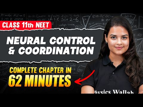 Neural Control And Coordination in 62 Minutes | FULL Chapter For NEET | PhysicsWallah