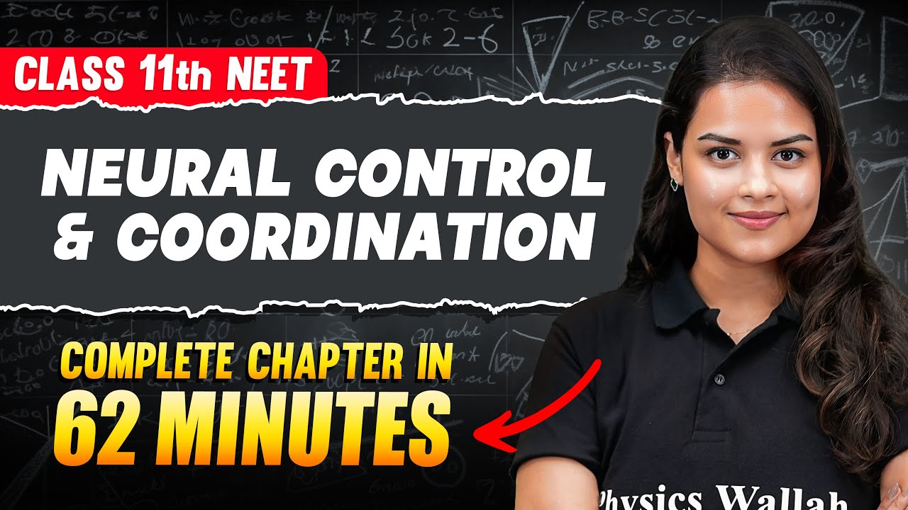 Neural Control And Coordination in 62 Minutes | FULL Chapter For NEET | PhysicsWallah