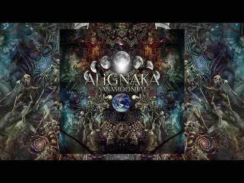 Alignaka - Inyanga Egcwele