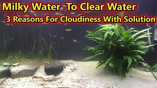 தண்ணீர் கலங்கலா? இந்த 3 காரணம் தான். | Milky And Cloudy Water Into Clean Water / Fish Aquarium Tamil