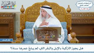 1847 - هل يجوز التزكية بالإبل والبقر التي لم يبلغ عمرها سنة؟ - عثمان الخميس