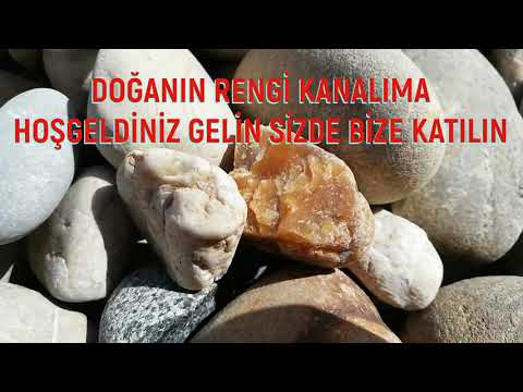 download lagu mp3 mp4 Necef Tasi, download lagu Necef Tasi gratis, unduh video klip Necef Tasi