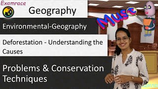 Deforestation - Understanding the Causes, Problems and Conservation Techniques