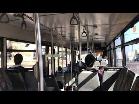 Ventura #812 (Scania L113CRL Euro 1, ZF, Volgren CR221L)