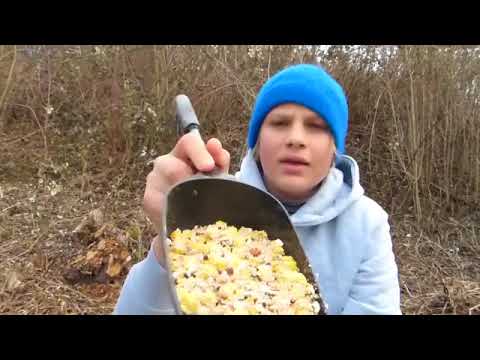 Besoffene Karpfen? Alkohol und Boilies / Köderalphabet: A / Alkohol