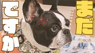 無言の圧力😑