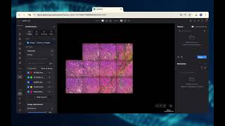 How to Add an Image to Your Submitted Data in SpatialX