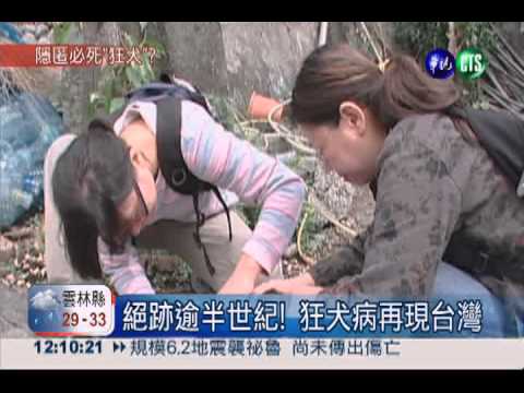 絕跡52年! 狂犬病再現台灣中部