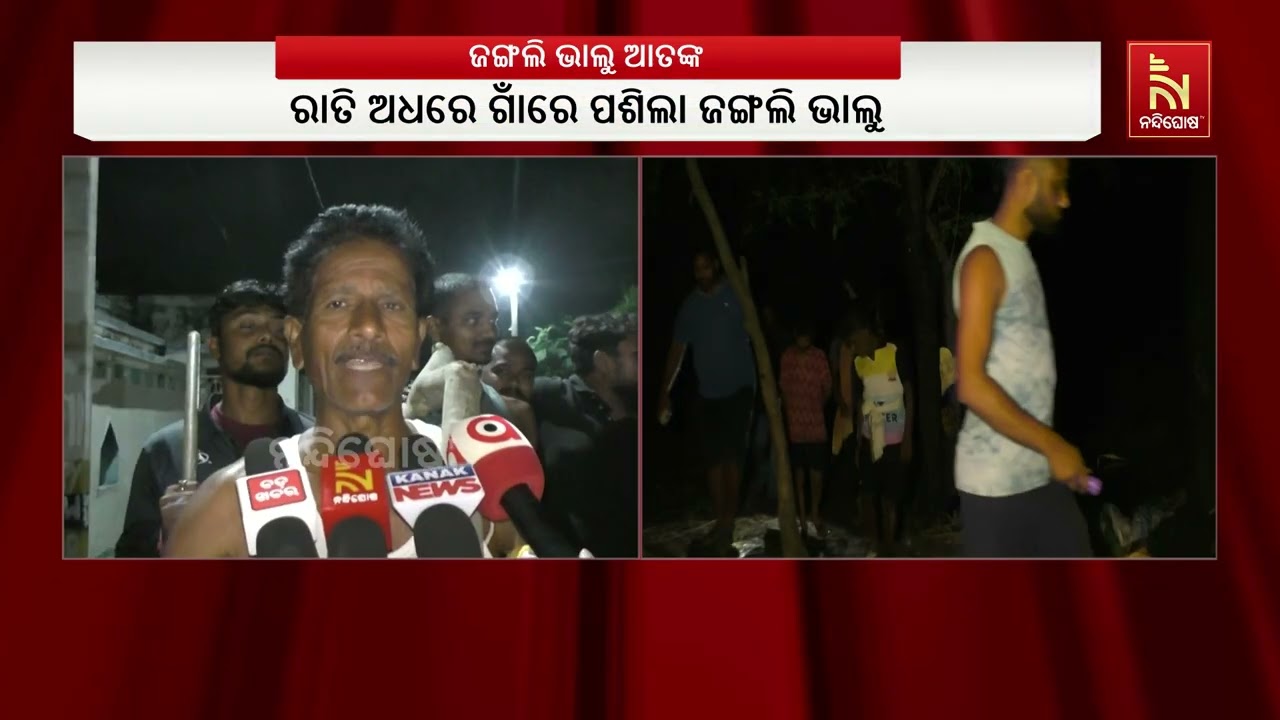 ରାତି ଅଧରେ ଗାଁରେ ପଶିଲା ଜଙ୍ଗଲି ଭାଲୁ ; ଭାଲୁ ପଶି ଆସିଥିବା ଖ