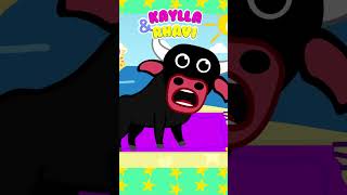 O Boi da Cara Preta Não É Baleia! 🐮🦀
