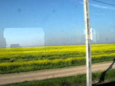 12. Camp cu rapita-Floresti Prahova.avi