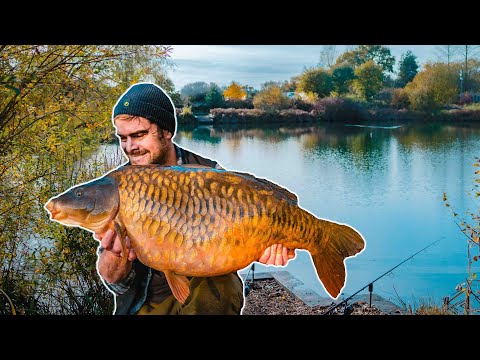 Jimmy's Diary | In Pursuit Of A MONSTER Fully!