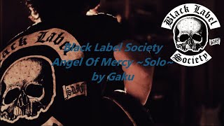 Black Label Society / Zakk Wylde - Angel Of Mercy (Solo)  :by Gaku