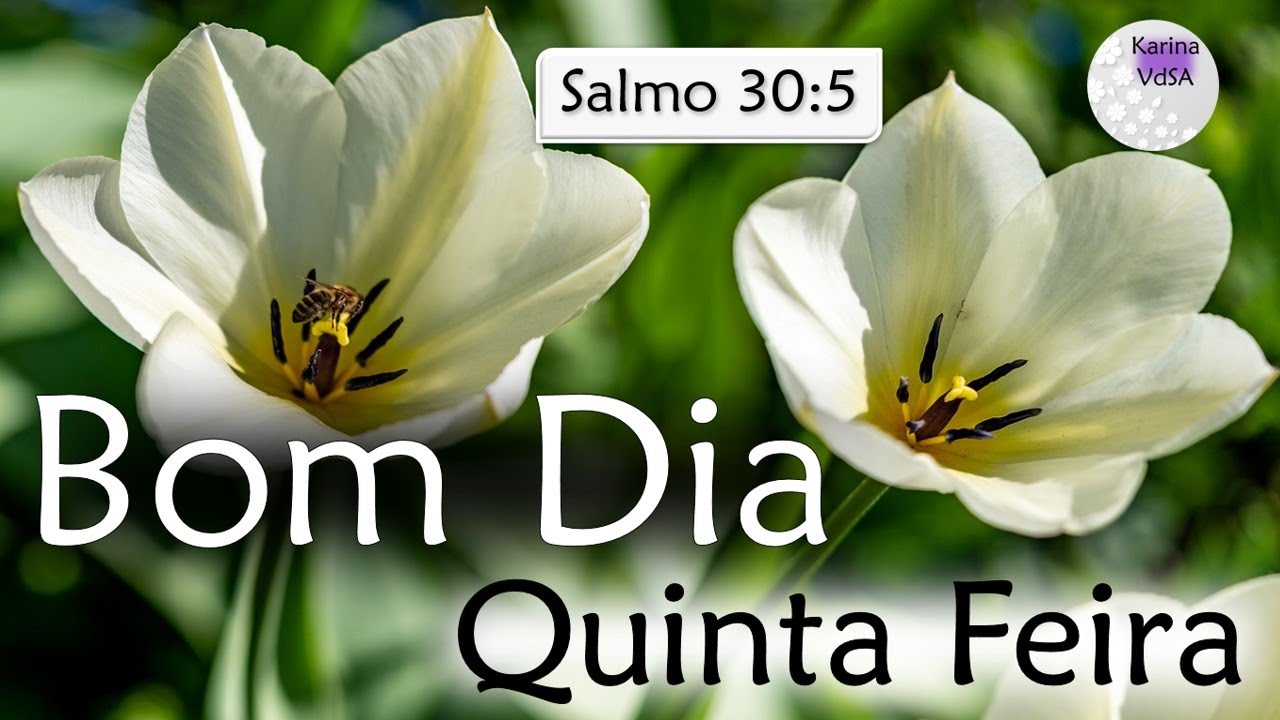 Mensagem de Feliz Quinta Feira Abençoada | Salmo 30:5 | Bom Dia