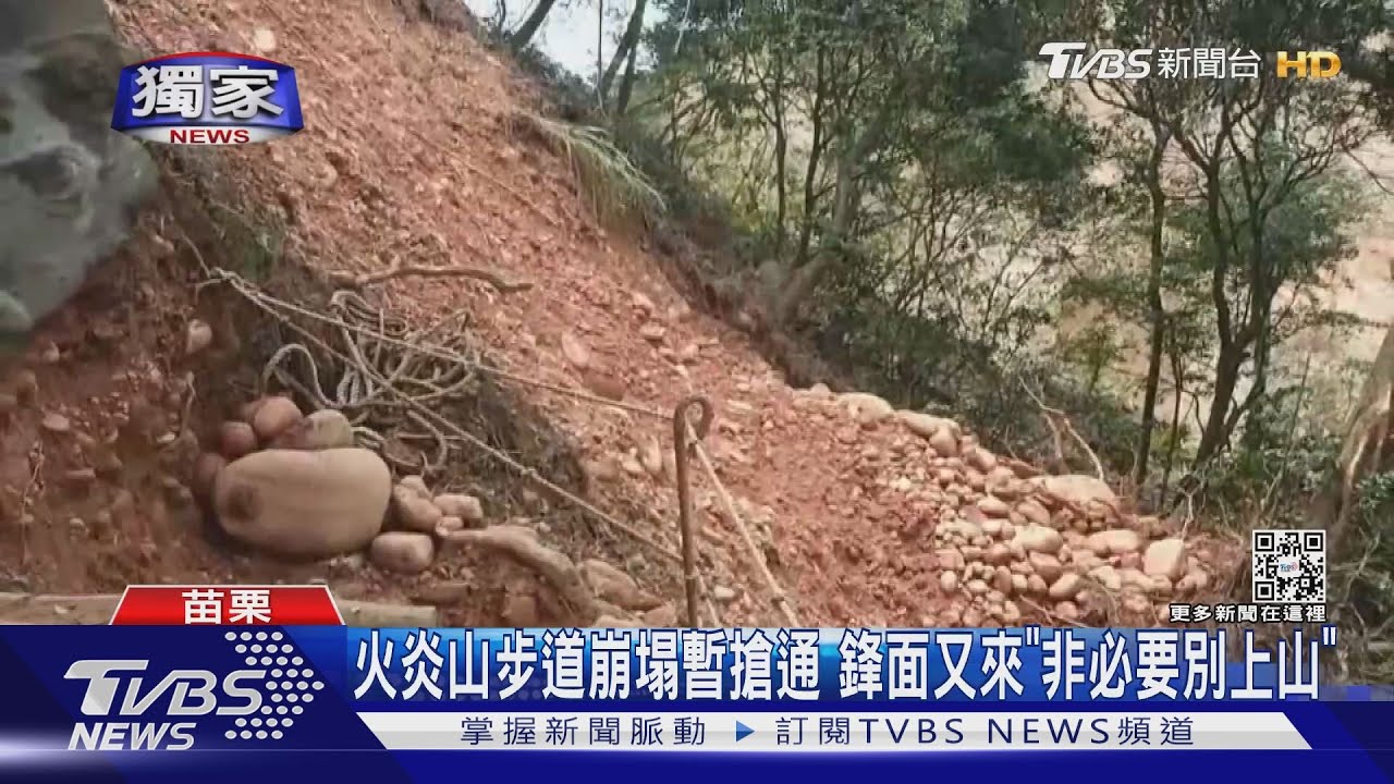相隔幾步...碰!丈夫回頭 妻遭大雪山步道樹壓死