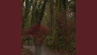 Cover art for Dismal