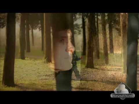 Gianni Morandi - Rinascimento (videoclip ufficiale)