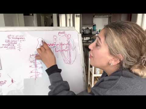 Why He/She Left (polarity vs duality) in people and relationships