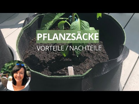 Meine Erfahrung mit Pflanzsäcken - Vorteile und Nachteile - Pflanzsäcke aus Vlies