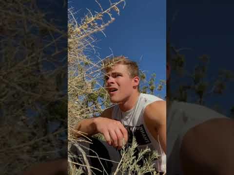 GOT ATTACKED BY WOLVES ON A HIKE! #shorts