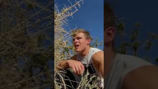 Download lagu GOT ATTACKED BY WOLVES ON A HIKE! #shorts mp3