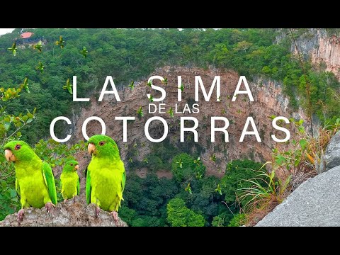 La sima de las Cotorras, Chiapas - 4K