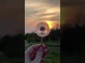 Nature Beautiful Climate Change The World ️