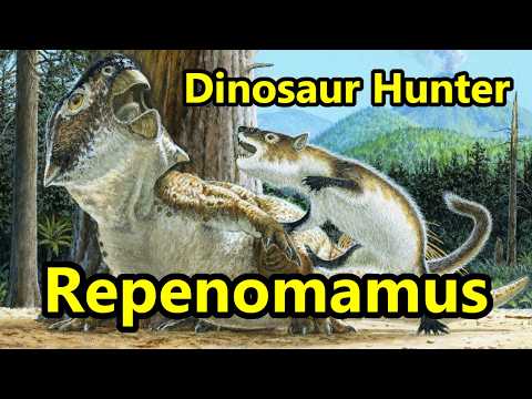 Repenomamus: The Mammal that Hunted Dinosaurs