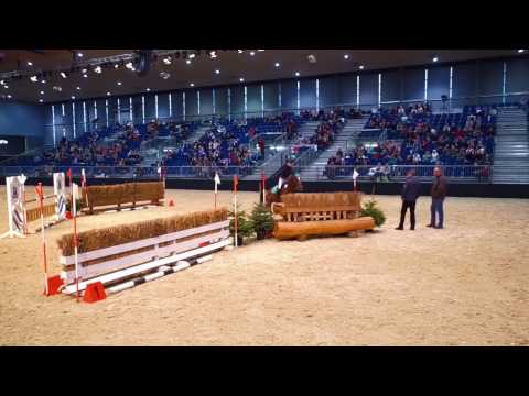 Wahl zum Sportler des Jahres 2016 - Kreis Diepholz - Laura Schierholz mit Mellis Jeanie
