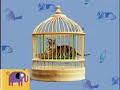 Noggin S Critter Corner Pets Pets Quiz Elmo S World