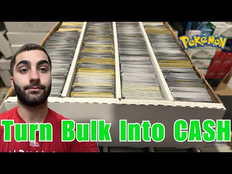 How to Process Pokémon Bulk for Maximum Profit & HUGE Returns