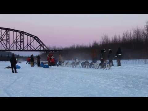 Peter Reuter #53 in the Iditarod arrives with the Barkeater Race Team in Nenana, Alaska