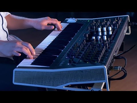 Waldorf Quantum Synthesizer - All Playing, No Talking!