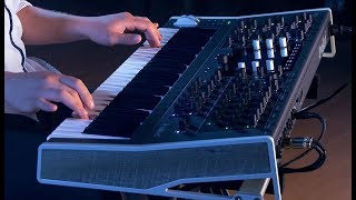 Video thumbnail for Waldorf Quantum Synthesizer - All Playing, No Talking! by Kraft Music