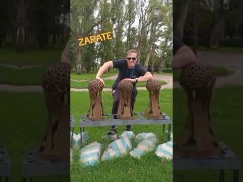 ZARATE PROVINCIA DE BUENOS AIRES