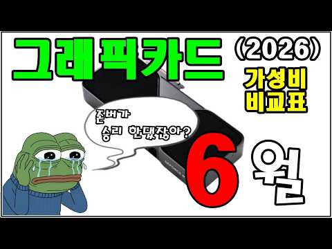 100만원이나 오른 그래픽카드가 있네?? (6월 그래픽카드 가성비 비교표)
