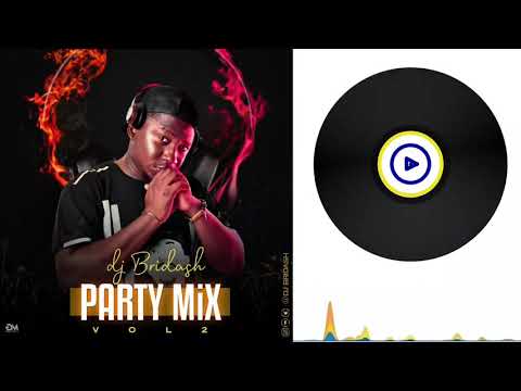 DJ BRIDASH - PARTY MIX VOL. 2