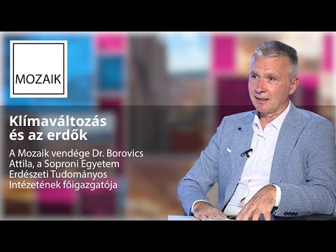 Mozaik – 2026.10.09.  - vendég: Dr. Borovics Attila