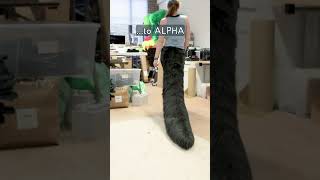 Wolf pup to giant alpha 🐺 #floordragger tails are here!