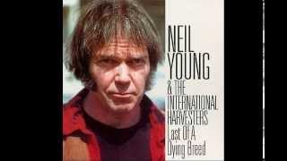 Neil Young Tour Last of a Dying Breed Live @ Austin Texas 1984 Full Album