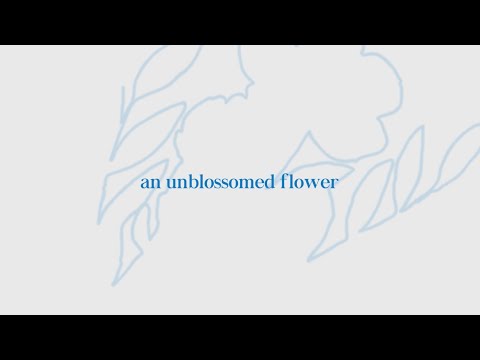 Jixk Gabby - An Unblossomed Flower (Official Lyric Video)