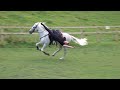 Equestrian stunt display by Riders of the Storm with Kirsty McWilliam at Killiecrankie in Scotland