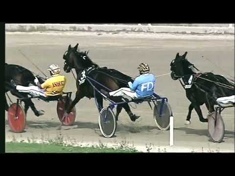 Napoli Trotto 21/10/2022 - 1ª corsa