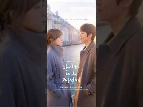 비디오 14