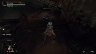 ELDEN RING  20