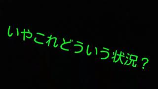 赤月さんと雷気が話し合うそうです（メタ注意）