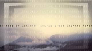 BT - Rose Of Jericho (Sultan & Ned Shepard Remix)