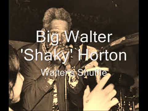 Big Walter Horton-Walter's Shuffle